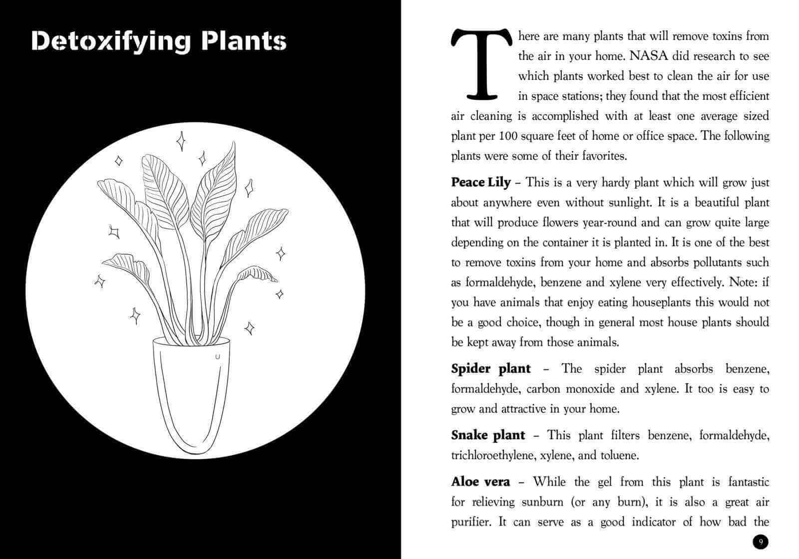 Detox Remedies for Nontoxic Living: Room-by-Room Solutions to Transform Your Space