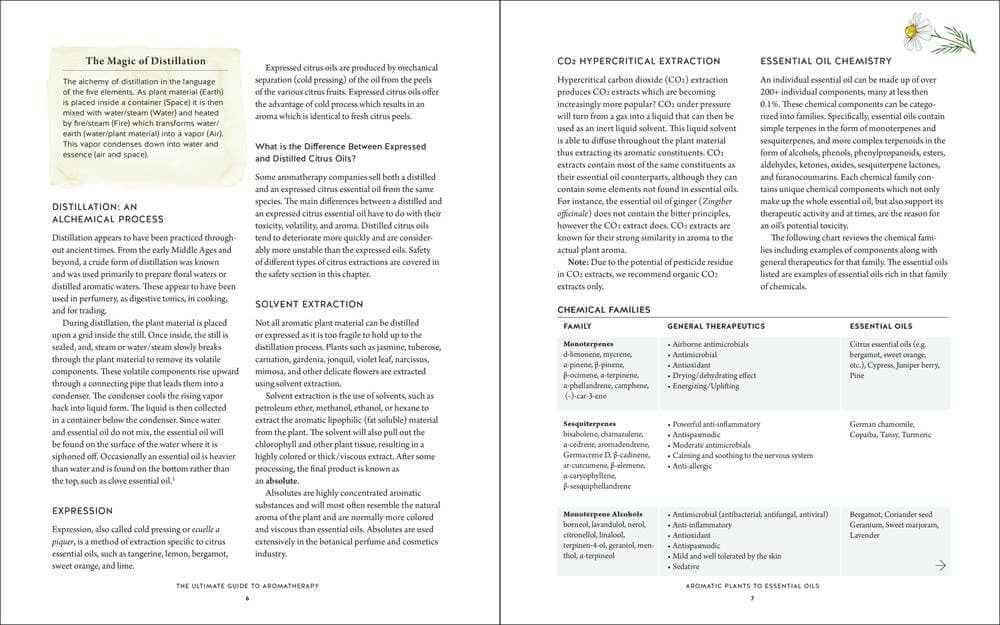 Ultimate Aromatherapy Guide: Your Illustrated Companion to Essential Oils