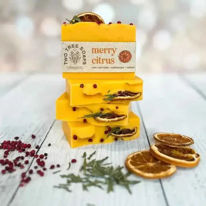 Merry Citrus Handmade Soap Bar - Plasticology