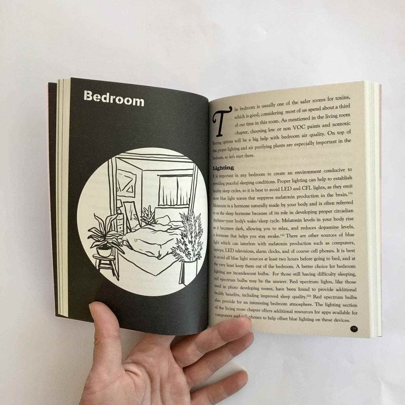 Detox Remedies for Nontoxic Living: Room-by-Room Solutions to Transform Your Space  