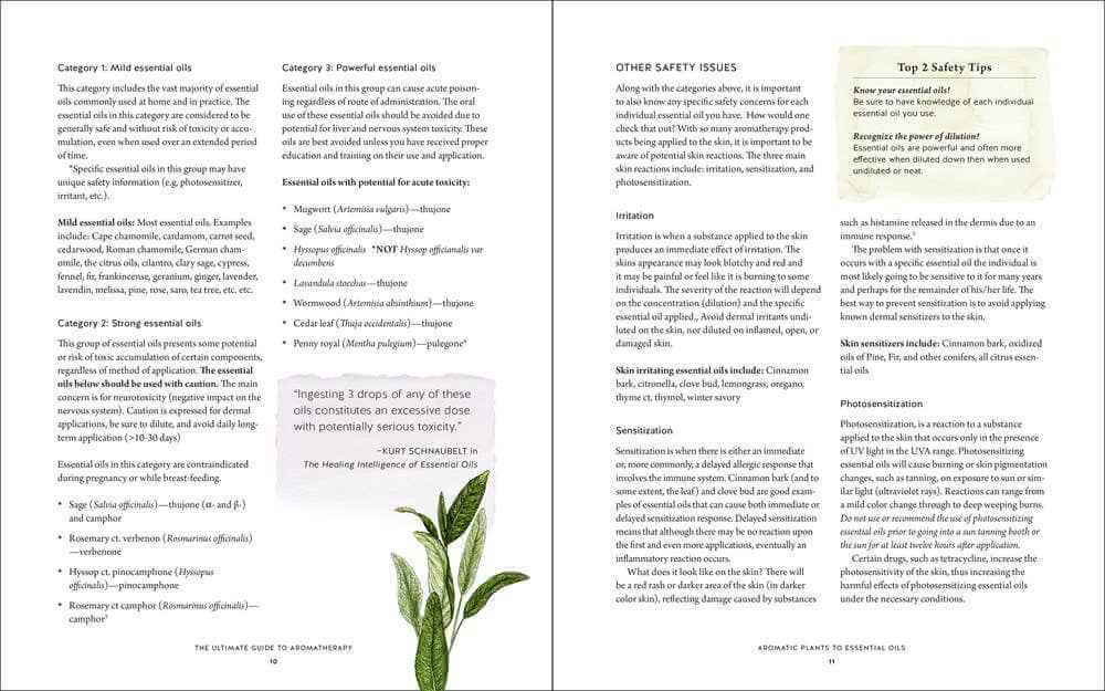 Ultimate Aromatherapy Guide: Your Illustrated Companion to Essential Oils   thumbnail