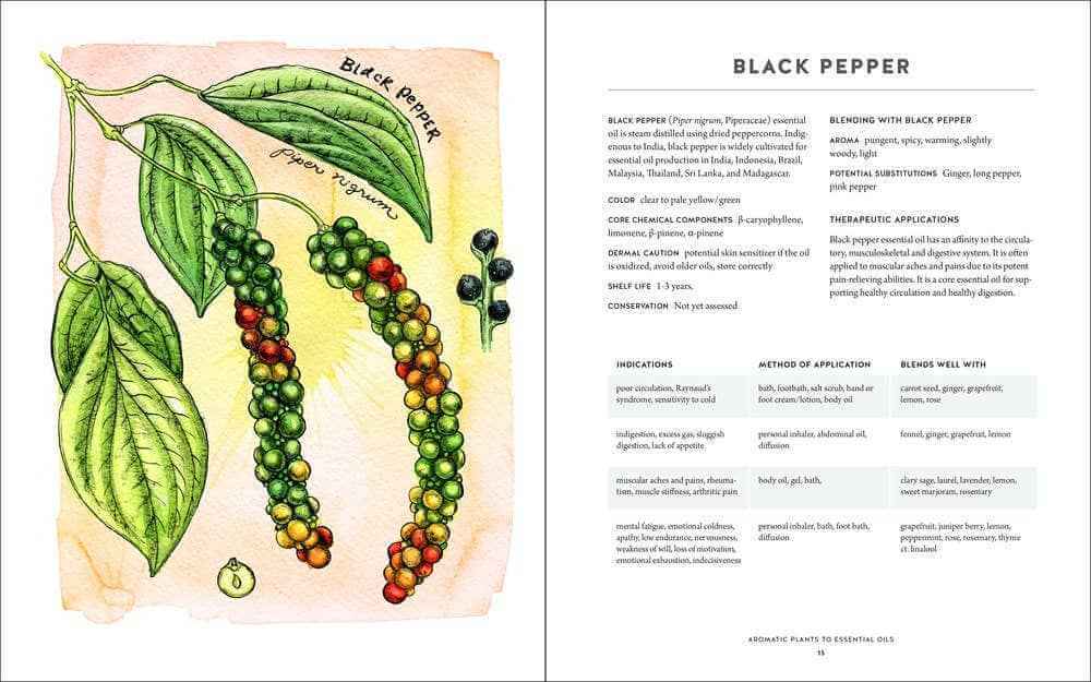 Ultimate Aromatherapy Guide: Your Illustrated Companion to Essential Oils   thumbnail