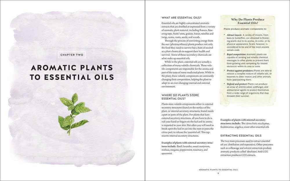 Ultimate Aromatherapy Guide: Your Illustrated Companion to Essential Oils  