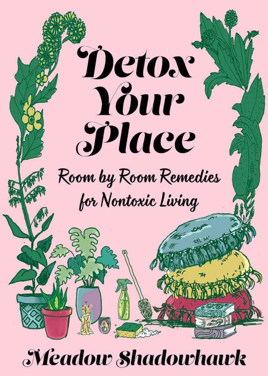 Detox Remedies for Nontoxic Living: Room-by-Room Solutions to Transform Your Space  