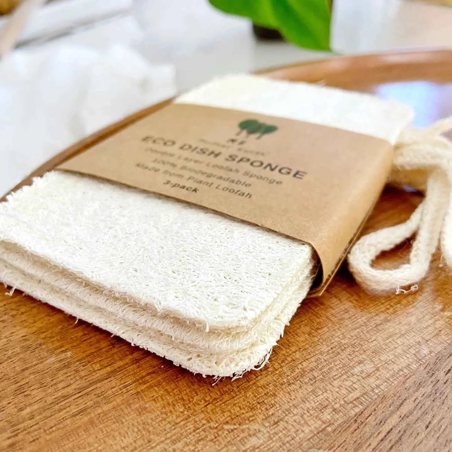 Compostable Loofah Sponge (2 pack)