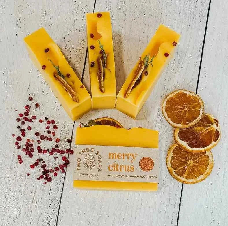 Merry Citrus Handmade Soap Bar - Plasticology