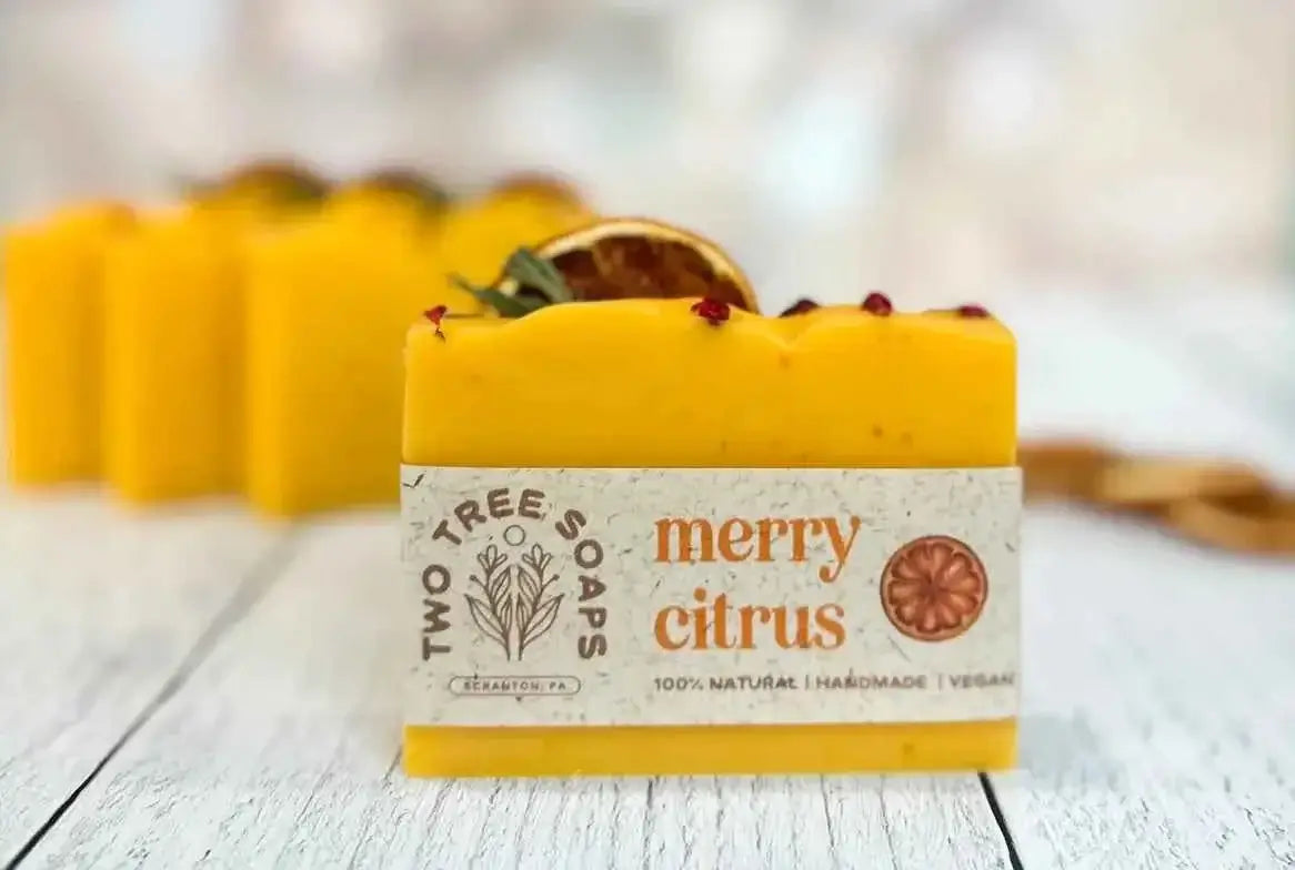 Merry Citrus Handmade Soap Bar - Plasticology