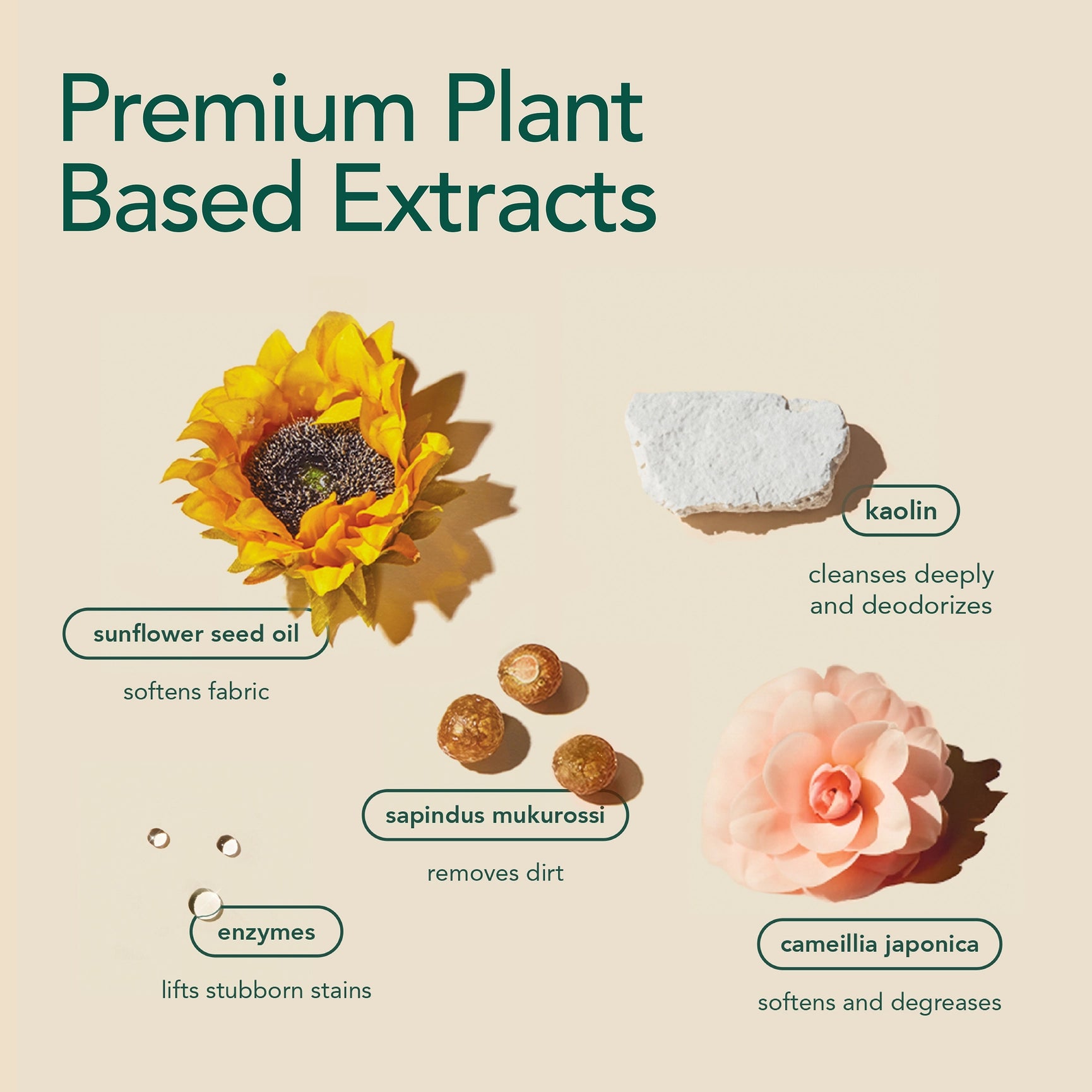 Chemical Free Laundry Detergent Sheets